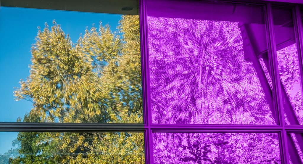 How Birds See UV Patterns on Glass
